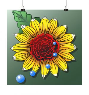 Schwarze Rose - Poster 60x60